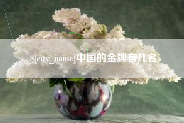 沙河中国的金牌有几名