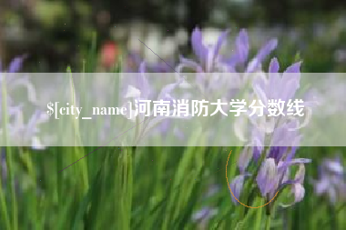 沙河河南消防大学分数线