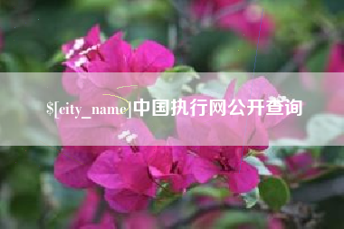 沙河中国执行网公开查询