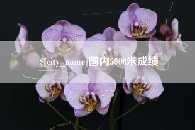 沙河国内5000米成绩