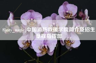 沙河中国消防救援学院简介及招生章程指挥部