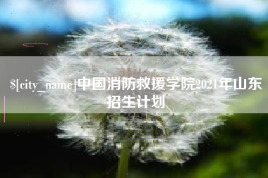 沙河中国消防救援学院2021年山东招生计划