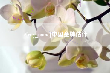 沙河中国金牌估计