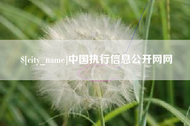 沙河中国执行信息公开网网
