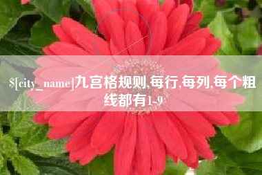 沙河九宫格规则,每行,每列,每个粗线都有1-9