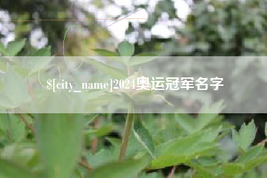 沙河2024奥运冠军名字