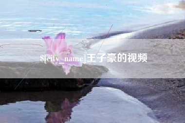 沙河王子豪的视频