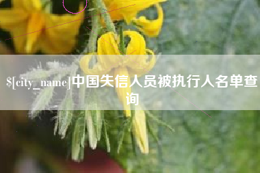 沙河中国失信人员被执行人名单查询