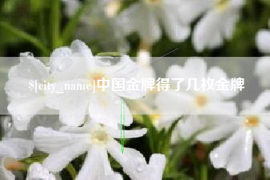 沙河中国金牌得了几枚金牌