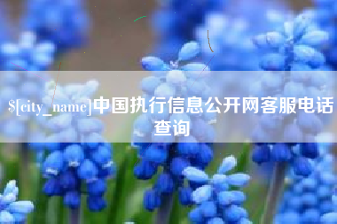 沙河中国执行信息公开网客服电话查询