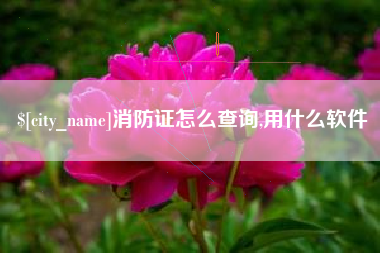 沙河消防证怎么查询,用什么软件