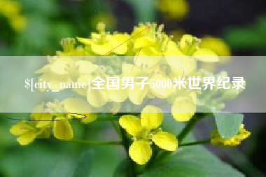 沙河全国男子5000米世界纪录