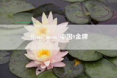 沙河中国9金牌