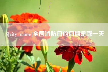 沙河全国消防日的日期是哪一天