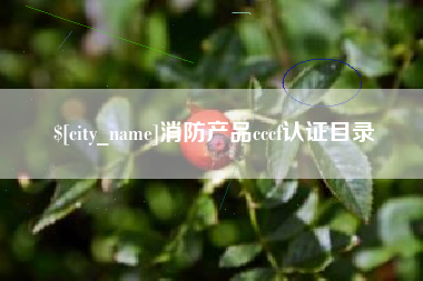 沙河消防产品cccf认证目录