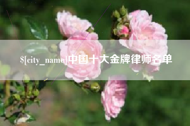 沙河中国十大金牌律师名单