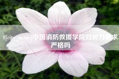 沙河中国消防救援学院对视力要求严格吗