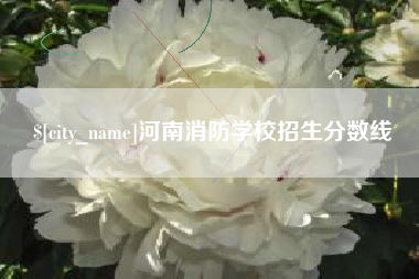 沙河河南消防学校招生分数线
