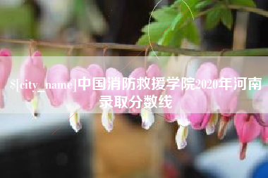 沙河中国消防救援学院2020年河南录取分数线