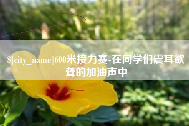 沙河600米接力赛-在同学们震耳欲聋的加油声中