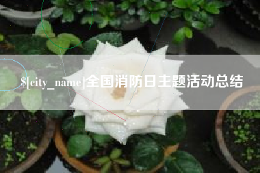 沙河全国消防日主题活动总结