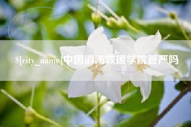 沙河中国消防救援学院管严吗