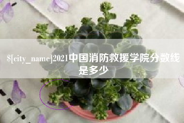 沙河2021中国消防救援学院分数线是多少