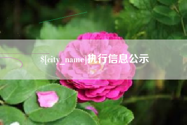 沙河执行信息公示