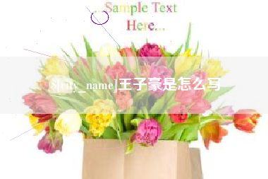 沙河王子豪是怎么写