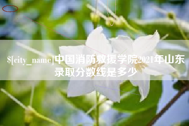 沙河中国消防救援学院2021年山东录取分数线是多少