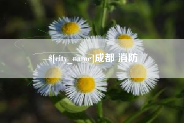 沙河成都 消防