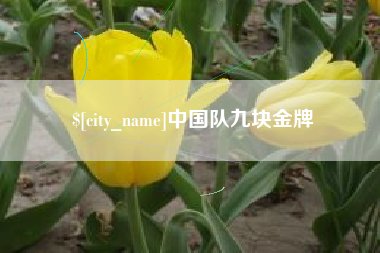 沙河中国队九块金牌