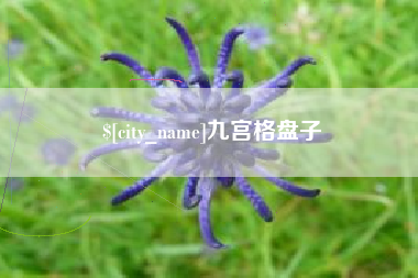 沙河九宫格盘子