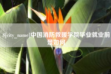 沙河中国消防救援学院毕业就业前景如何