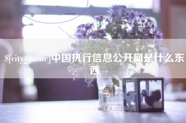 沙河中国执行信息公开网是什么东西
