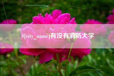 沙河有没有消防大学