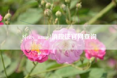 沙河消控证官网查询