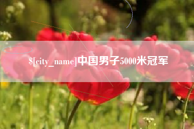 沙河中国男子5000米冠军