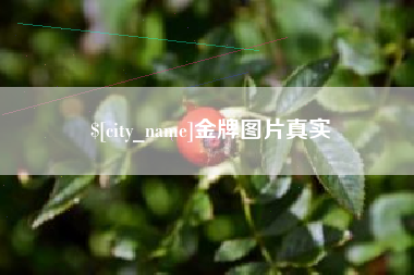 沙河金牌图片真实