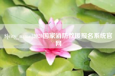 沙河2020国家消防救援报名系统官网