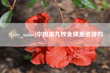 沙河中国第九枚金牌是谁得的