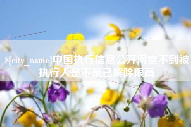 沙河中国执行信息公开网查不到被执行人是不是已解除限高