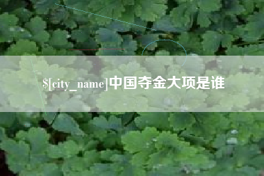 沙河中国夺金大项是谁
