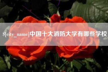 沙河中国十大消防大学有哪些学校