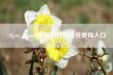 沙河中国执行网公开查询入口