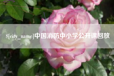 沙河中国消防中小学公开课回放
