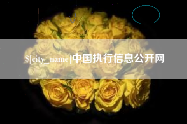沙河中国执行信息公开网