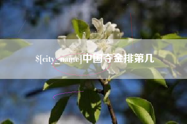 沙河中国夺金排第几