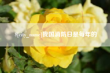 沙河我国消防日是每年的