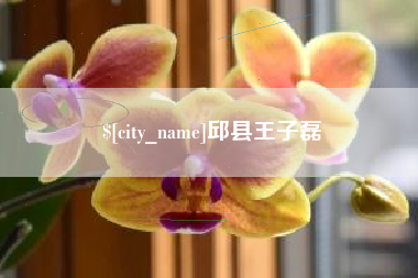 沙河邱县王子磊
